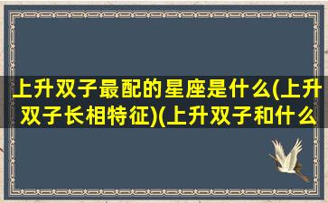 上升双子最配的星座是什么(上升双子长相特征)(上升双子和什么星座最配)