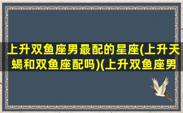 上升双鱼座男最配的星座(上升天蝎和双鱼座配吗)(上升双鱼座男人的爱情)