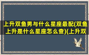 上升双鱼男与什么星座最配(双鱼上升是什么星座怎么查)(上升双鱼的男人对爱情)