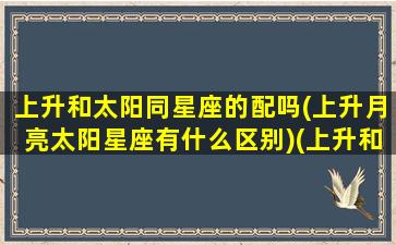 上升和太阳同星座的配吗(上升月亮太阳星座有什么区别)(上升和太阳配对)