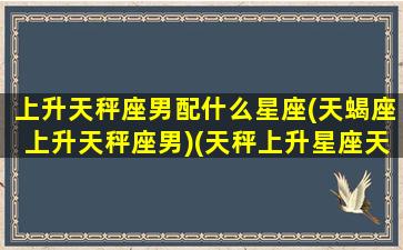 上升天秤座男配什么星座(天蝎座上升天秤座男)(天秤上升星座天蝎座男生)