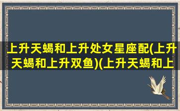 上升天蝎和上升处女星座配(上升天蝎和上升双鱼)(上升天蝎和上升什么星座配)