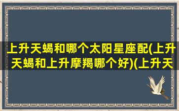 上升天蝎和哪个太阳星座配(上升天蝎和上升摩羯哪个好)(上升天蝎与太阳天蝎配吗)