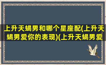 上升天蝎男和哪个星座配(上升天蝎男爱你的表现)(上升天蝎男爱的女生类型)