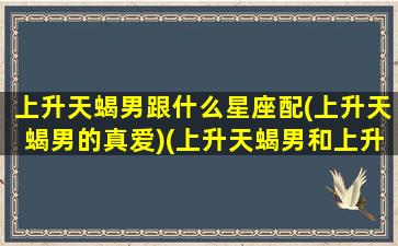 上升天蝎男跟什么星座配(上升天蝎男的真爱)(上升天蝎男和上升天蝎女配吗)