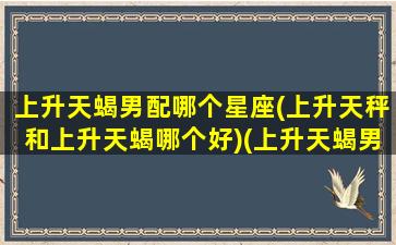 上升天蝎男配哪个星座(上升天秤和上升天蝎哪个好)(上升天蝎男与上升天秤女)