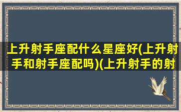 上升射手座配什么星座好(上升射手和射手座配吗)(上升射手的射手座)