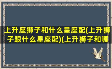 上升座狮子和什么星座配(上升狮子跟什么星座配)(上升狮子和哪个上升星座配)