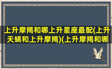 上升摩羯和哪上升星座最配(上升天蝎和上升摩羯)(上升摩羯和哪个星座比较配)