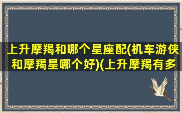 上升摩羯和哪个星座配(机车游侠和摩羯星哪个好)(上升摩羯有多可怕)