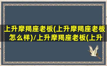 上升摩羯座老板(上升摩羯座老板怎么样)/上升摩羯座老板(上升摩羯座老板怎么样)-我的网站