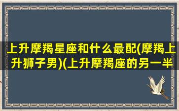 上升摩羯星座和什么最配(摩羯上升狮子男)(上升摩羯座的另一半)