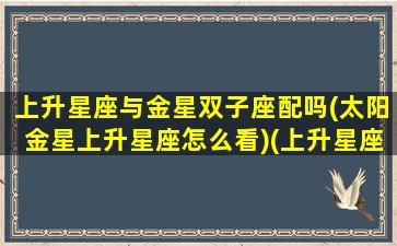 上升星座与金星双子座配吗(太阳金星上升星座怎么看)(上升星座和金星星座)