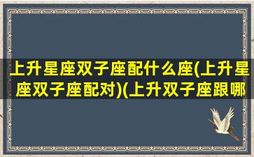 上升星座双子座配什么座(上升星座双子座配对)(上升双子座跟哪个星座配对)