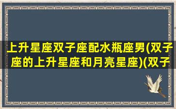 上升星座双子座配水瓶座男(双子座的上升星座和月亮星座)(双子上升水瓶座女生性格)