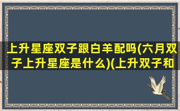 上升星座双子跟白羊配吗(六月双子上升星座是什么)(上升双子和上升白羊的区别)