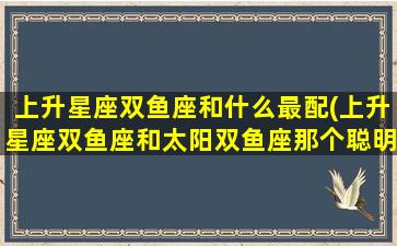 上升星座双鱼座和什么最配(上升星座双鱼座和太阳双鱼座那个聪明)(上升双鱼和谁最合适)