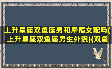 上升星座双鱼座男和摩羯女配吗(上升星座双鱼座男生外貌)(双鱼上升摩羯男特点)