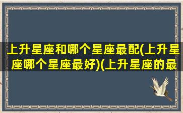 上升星座和哪个星座最配(上升星座哪个星座最好)(上升星座的最佳配对表)