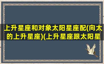 上升星座和对象太阳星座配(向太的上升星座)(上升星座跟太阳星座配对)