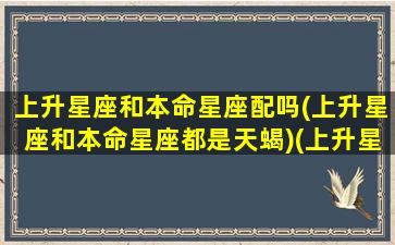 上升星座和本命星座配吗(上升星座和本命星座都是天蝎)(上升星座和本命星座一样的话)