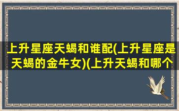 上升星座天蝎和谁配(上升星座是天蝎的金牛女)(上升天蝎和哪个星座配)