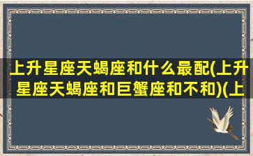 上升星座天蝎座和什么最配(上升星座天蝎座和巨蟹座和不和)(上升天蝎和哪些上升星座最能和的来)