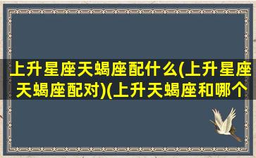 上升星座天蝎座配什么(上升星座天蝎座配对)(上升天蝎座和哪个星座最相配)