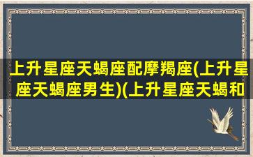 上升星座天蝎座配摩羯座(上升星座天蝎座男生)(上升星座天蝎和摩羯)