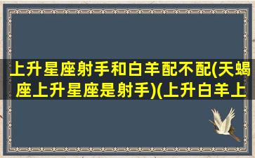 上升星座射手和白羊配不配(天蝎座上升星座是射手)(上升白羊上升射手搭配)