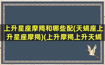 上升星座摩羯和哪些配(天蝎座上升星座摩羯)(上升摩羯上升天蝎区别)