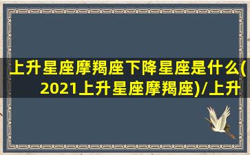 上升星座摩羯座下降星座是什么(2021上升星座摩羯座)/上升星座摩羯座下降星座是什么(2021上升星座摩羯座)-我的网站