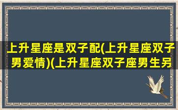 上升星座是双子配(上升星座双子男爱情)(上升星座双子座男生另一半)