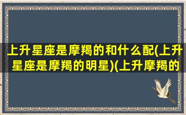 上升星座是摩羯的和什么配(上升星座是摩羯的明星)(上升摩羯的另一半长相)