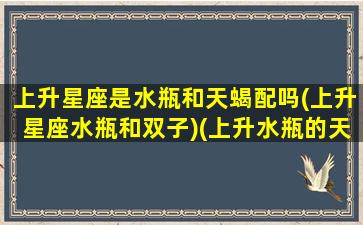 上升星座是水瓶和天蝎配吗(上升星座水瓶和双子)(上升水瓶的天蝎座)