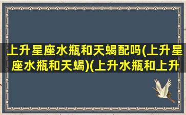 上升星座水瓶和天蝎配吗(上升星座水瓶和天蝎)(上升水瓶和上升天蝎像吗)