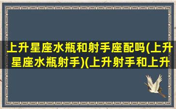 上升星座水瓶和射手座配吗(上升星座水瓶射手)(上升射手和上升水瓶配对指数)