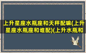上升星座水瓶座和天秤配嘛(上升星座水瓶座和谁配)(上升水瓶和天秤配吗)