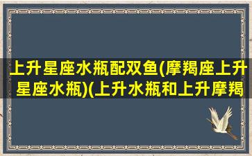 上升星座水瓶配双鱼(摩羯座上升星座水瓶)(上升水瓶和上升摩羯恋爱)