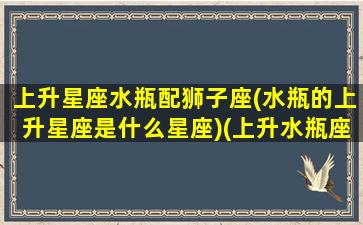 上升星座水瓶配狮子座(水瓶的上升星座是什么星座)(上升水瓶座和上升狮子座)