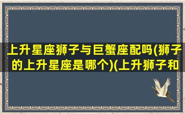 上升星座狮子与巨蟹座配吗(狮子的上升星座是哪个)(上升狮子和上升巨蟹合适吗)