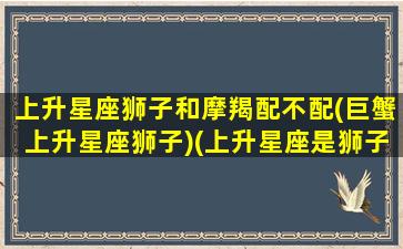 上升星座狮子和摩羯配不配(巨蟹上升星座狮子)(上升星座是狮子座的摩羯座)