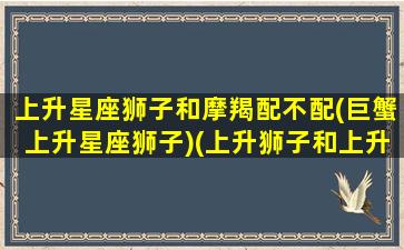 上升星座狮子和摩羯配不配(巨蟹上升星座狮子)(上升狮子和上升巨蟹配吗)