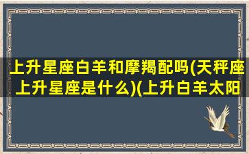 上升星座白羊和摩羯配吗(天秤座上升星座是什么)(上升白羊太阳摩羯月亮天秤)