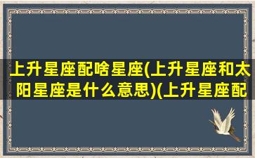 上升星座配啥星座(上升星座和太阳星座是什么意思)(上升星座配对准还是太阳星座配对准)