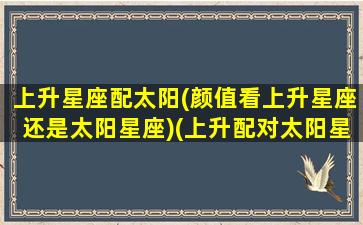 上升星座配太阳(颜值看上升星座还是太阳星座)(上升配对太阳星座)