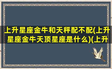 上升星座金牛和天秤配不配(上升星座金牛天顶星座是什么)(上升金牛与上升天秤)