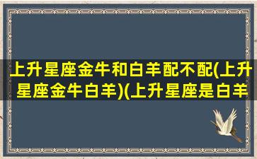 上升星座金牛和白羊配不配(上升星座金牛白羊)(上升星座是白羊的金牛座)