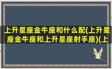 上升星座金牛座和什么配(上升星座金牛座和上升星座射手座)(上升星座金牛和上升金牛和吗)