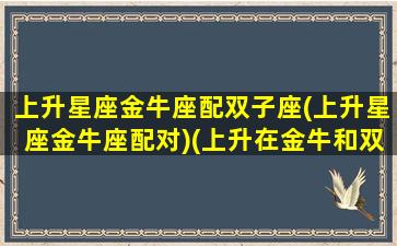 上升星座金牛座配双子座(上升星座金牛座配对)(上升在金牛和双子之间)